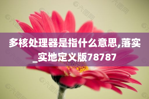 多核处理器是指什么意思,落实_实地定义版78787