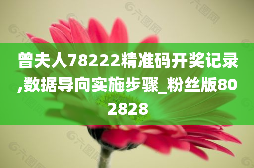 曾夫人78222精准码开奖记录,数据导向实施步骤_粉丝版802828