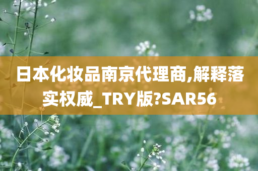 日本化妆品南京代理商,解释落实权威_TRY版?SAR56