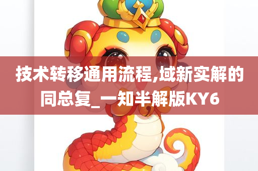 技术转移通用流程,域新实解的同总复_一知半解版KY6