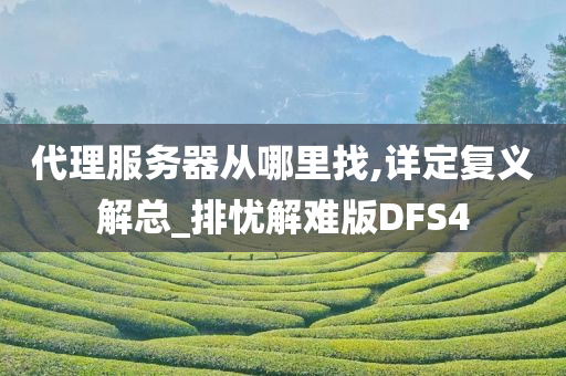 代理服务器从哪里找,详定复义解总_排忧解难版DFS4