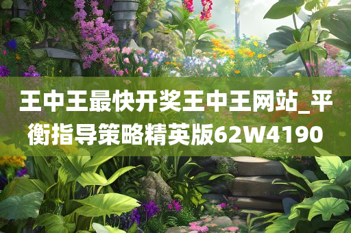 王中王最快开奖王中王网站_平衡指导策略精英版62W4190