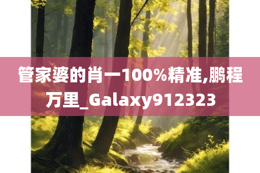 管家婆的肖一100%精准,鹏程万里_Galaxy912323
