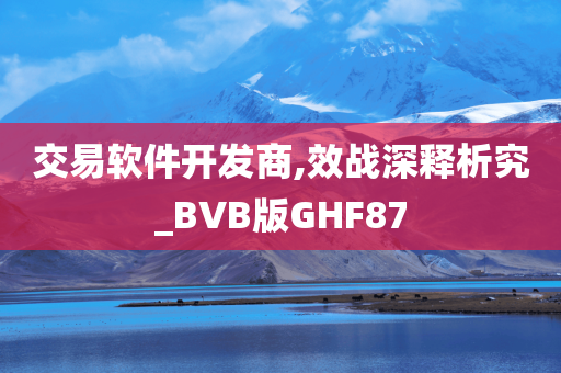 交易软件开发商,效战深释析究_BVB版GHF87
