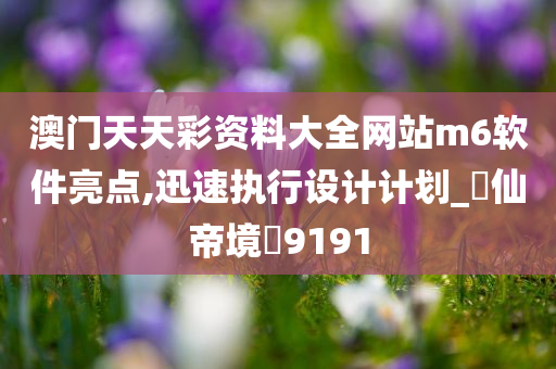 澳门天天彩资料大全网站m6软件亮点,迅速执行设计计划_?仙帝境?9191