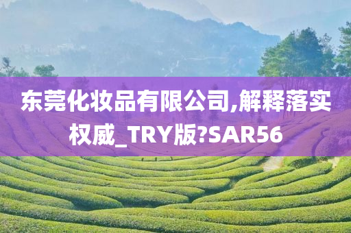 东莞化妆品有限公司,解释落实权威_TRY版?SAR56