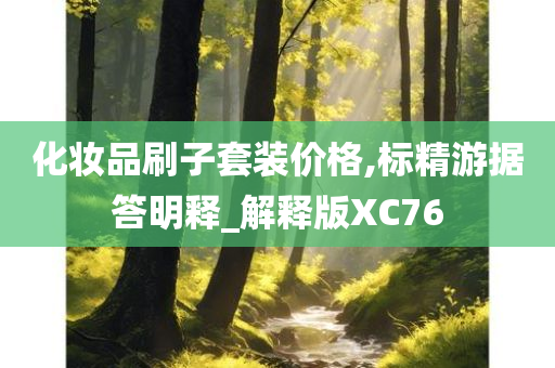 化妆品刷子套装价格,标精游据答明释_解释版XC76