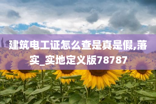 建筑电工证怎么查是真是假,落实_实地定义版78787