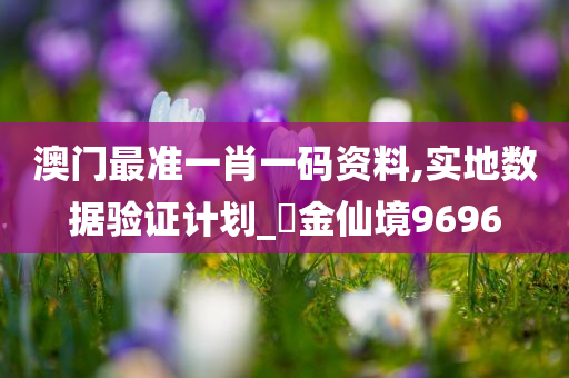 澳门最准一肖一码资料,实地数据验证计划_?金仙境9696
