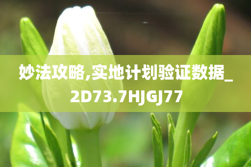 妙法攻略,实地计划验证数据_2D73.7HJGJ77