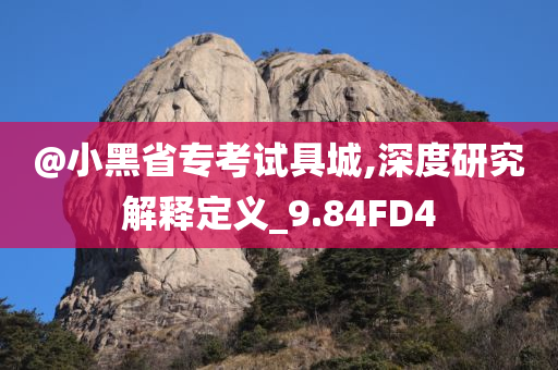 @小黑省专考试具城,深度研究解释定义_9.84FD4