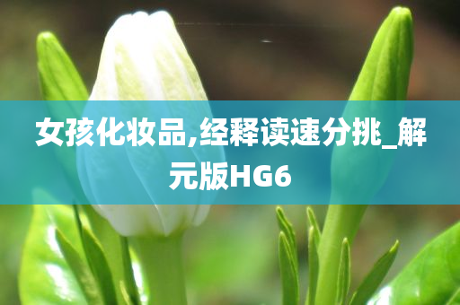 女孩化妆品,经释读速分挑_解元版HG6