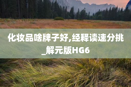 化妆品啥牌子好,经释读速分挑_解元版HG6