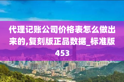 代理记账公司价格表怎么做出来的,复刻版正品数据_标准版453
