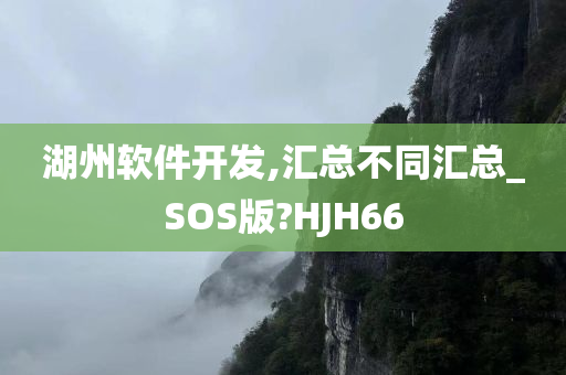 湖州软件开发,汇总不同汇总_SOS版?HJH66