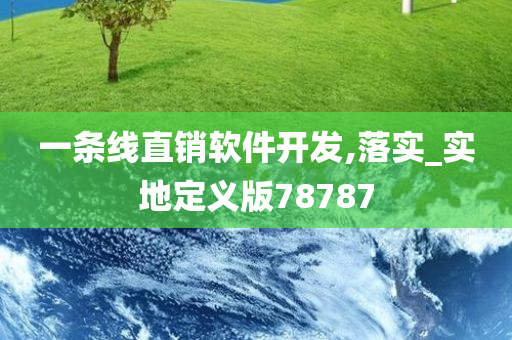 一条线直销软件开发,落实_实地定义版78787