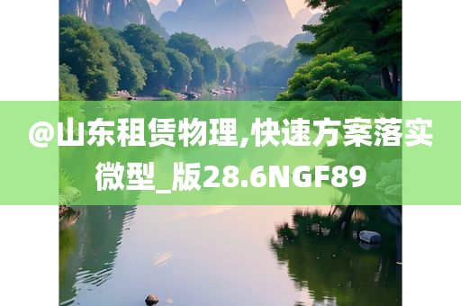@山东租赁物理,快速方案落实微型_版28.6NGF89