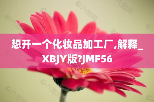 想开一个化妆品加工厂,解释_XBJY版?JMF56