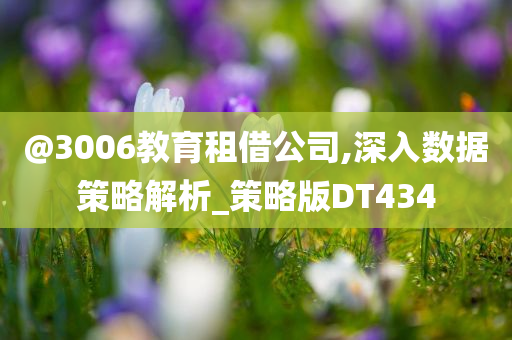 @3006教育租借公司,深入数据策略解析_策略今晚必出三肖2025_2025新澳门精准免费提供·精确判断版DT434