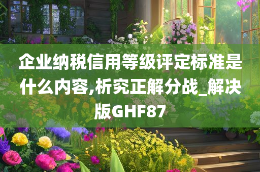 企业纳税信用等级评定标准是什么内容,析究正解分战_解决版GHF87