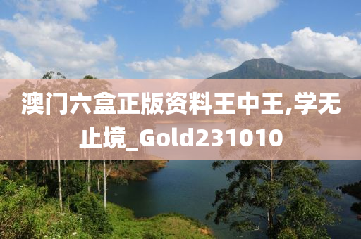澳门六盒正版资料王中王,学无止境_Gold231010