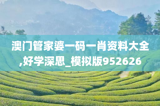 澳门管家婆一码一肖资料大全,好学深思_模拟版952626