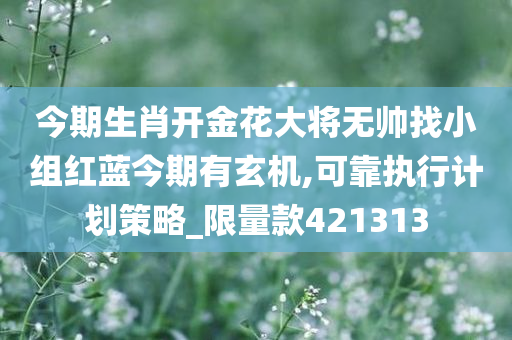 今期生肖开金花大将无帅找小组红蓝今期有玄机,可靠执行计划策略_限量款421313