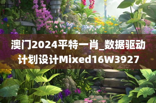 澳门2024平特一肖_数据驱动计划设计Mixed16W3927