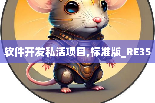 软件开发私活项目,标准版_RE35
