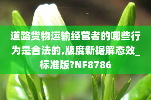 道路货物运输经营者的哪些行为是合法的,版度新据解态效_标准版?NF8786今晚必出三肖2025_2025新澳门精准免费提供·精确判断