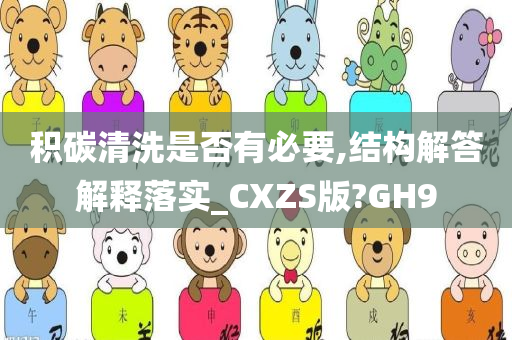 积碳清洗是否有必要,结构解答解释落实_CXZS版?GH9