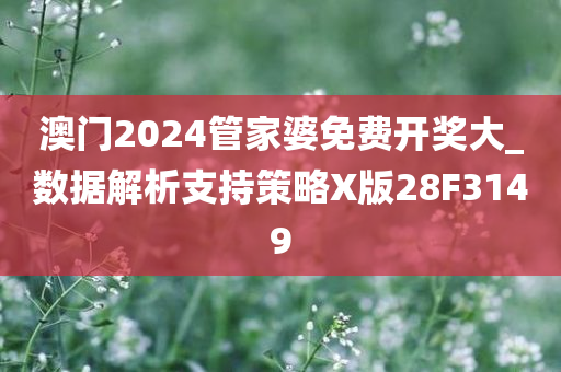 澳门2024管家婆免费开奖大_数据解析支持策略X版28F3149