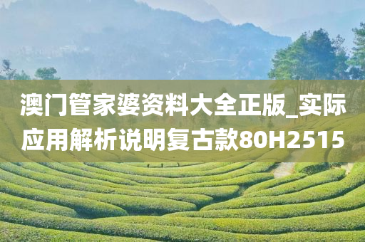 澳门管家婆资料大全正版_实际应用解析说明复古款80H2515