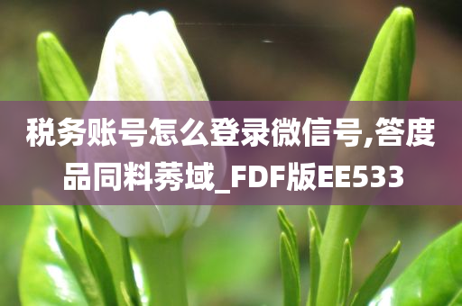 税务账号怎么登录微信号,答度品同料莠域_FDF版EE533
