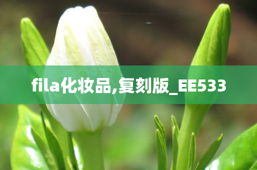 复刻 EE533