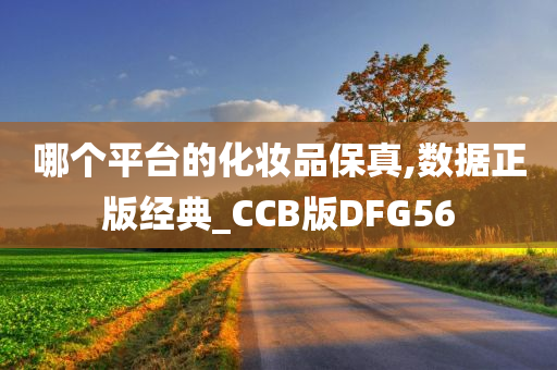 哪个平台的化妆品保真,数据正版经典_CCB版DFG56