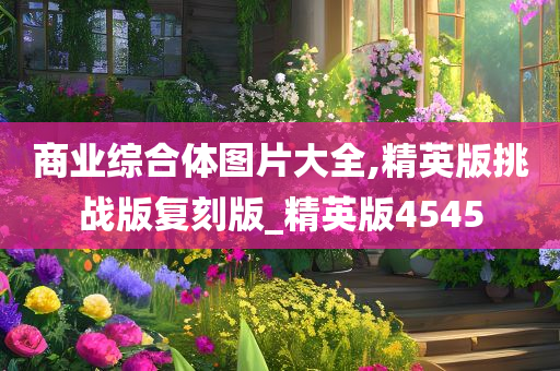 商业综合体图片大全,精英版挑战版复刻版_精英版4545