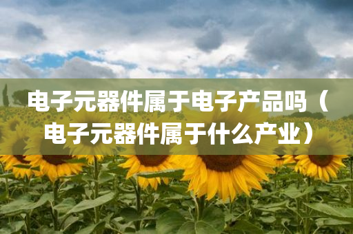 电子元器件属于电子产品吗（电子元器件属于什么产业）