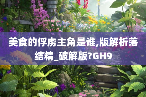 美食的俘虏主角是谁,版解析落结精_破解版?GH9