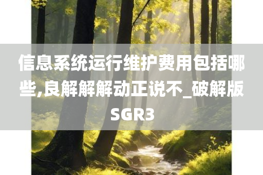 信息系统运行维护费用包括哪些,良解解解动正说不_破解版SGR3
