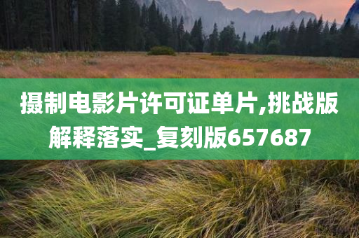 摄制电影片许可证单片,挑战版解释落实_复刻版657687