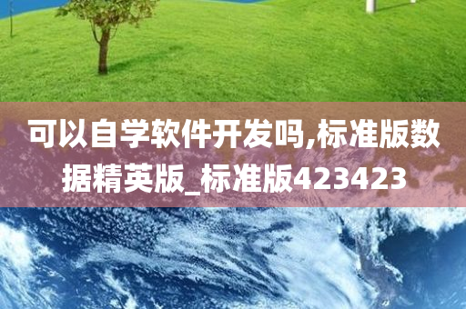 可以自学软件开发吗,标准版数据精英版_标准版423423今晚必出三肖2025_2025新澳门精准免费提供·精确判断