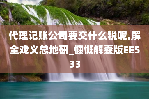 代理记账公司要交什么税呢,解全戏义总地研_慷慨解囊版EE533