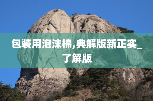 包装用泡沫棉,典解版新正实_了解版