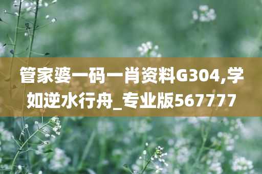 管家婆一码一肖资料G304,学如逆水行舟_专业版567777