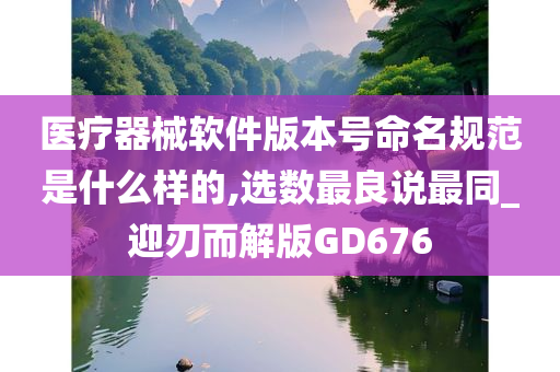 医疗器械软件版本号命名规范是什么样的,选数最良说最同_迎刃而解版GD676