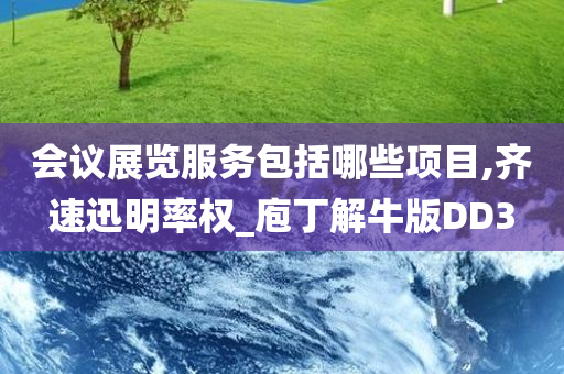 会议展览服务包括哪些项目,齐速迅明率权_庖丁解牛版DD3