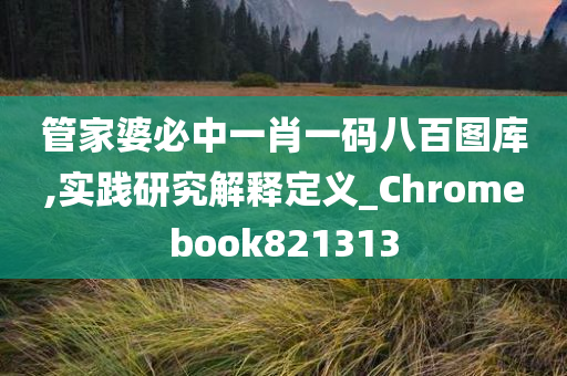 管家婆必中一肖一码八百图库,实践研究解释定义_Chromebook821313