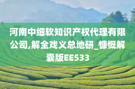 河南中细软知识产权代理有限公司,解全戏义总地研_慷慨解囊版EE533