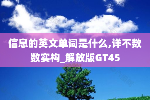 信息的英文单词是什么,详不数数实构_解放版GT45